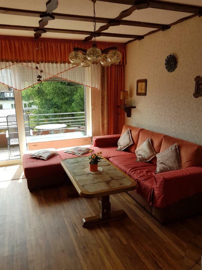 Ferienwohnung Napierski Willingen  Ngoại thất bức ảnh